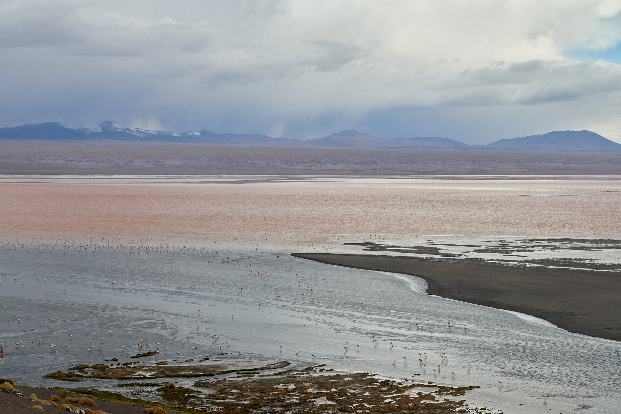 20200313 523 [볼리비아] 콜로라도 호수